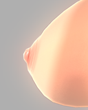 正式名称：ライトオレンジ  リアル乳首。一般的なサイズを持つ、乳輪に皺が入っているリアルな乳首。ドピンクの色彩がおもしろい